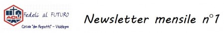 Newsletter n°1 - 2013